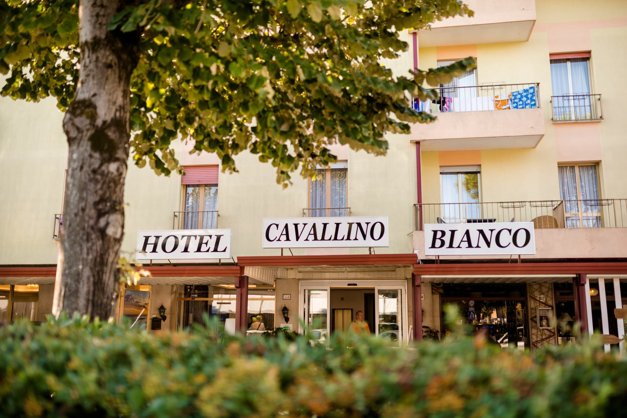 Hotel Cavallino Bianco Zewnętrze zdjęcie